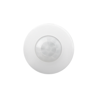 Presence detector