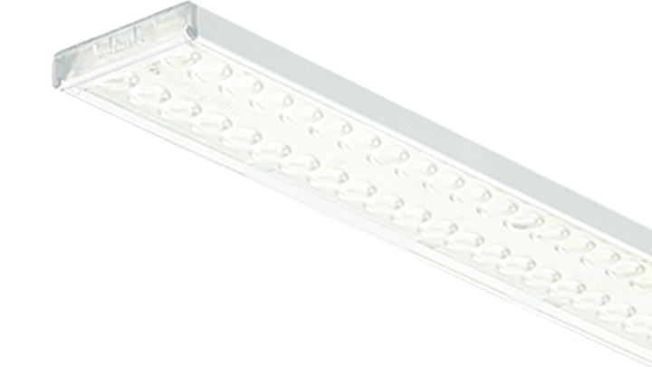 Maxos fusion Lichtträger