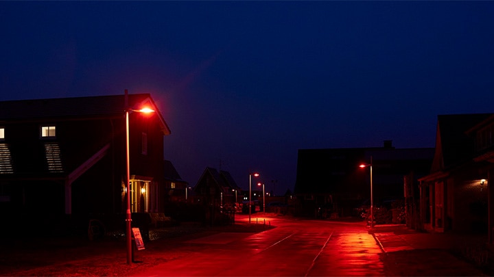 Schützen Sie die Fledermäuse mit dem richtigen Licht