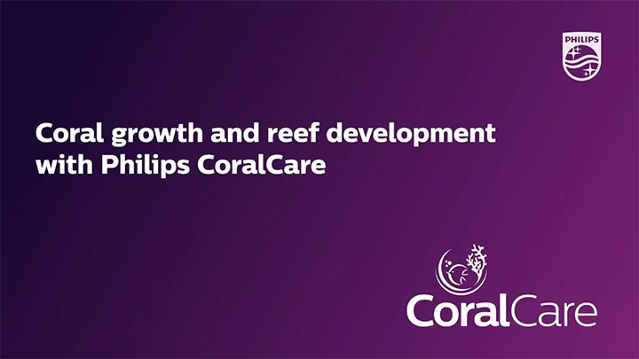 Korallenwachstum und Riff-Entwicklung mit Philips CoralCare