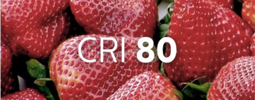 Schüssel mit Erdbeeren, die einen Hinweis auf die Farbstärke bei Beleuchtung von unter CRI 80 gibt.